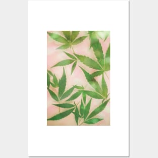 Dreamy Cannabis Marijuana Leaves Posters and Art